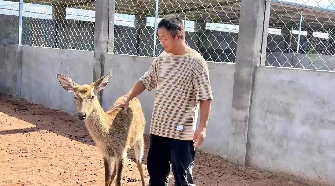 紫宫娱乐平台